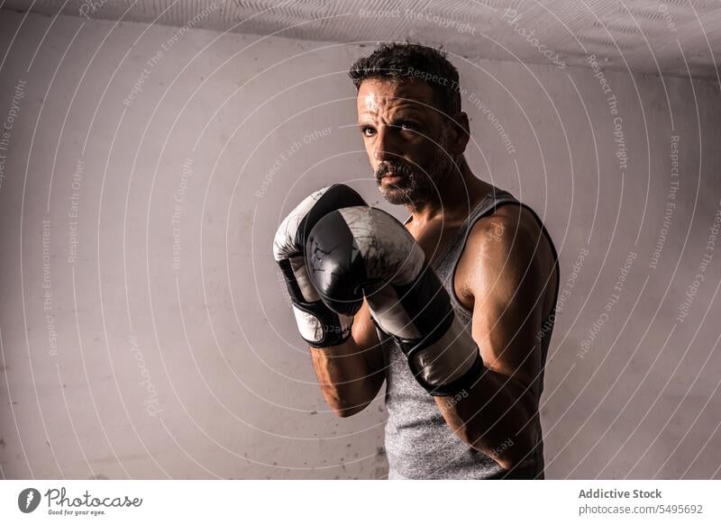 Muscular adult sportsman in boxing gloves standing near gray wall boxer athlete workout strong masculine training confident male sportswear wellness fit
