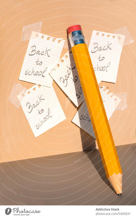 Pencil and back to school written pages fixed on wall in daylight pencil notebook paper stationery lean line bright shadow background color colorful write