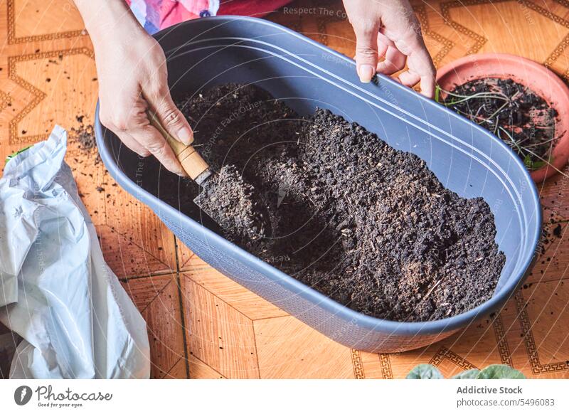 Crop woman planting seedling in pot on floor at home gardener soil prepare fertile mix hobby tool spatula cultivate female process growth botany horticulture
