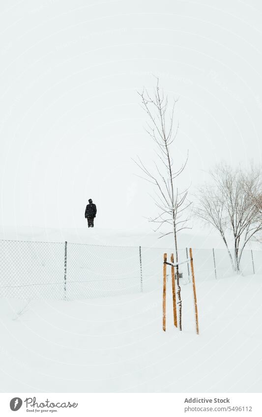 Person standing in snowy terrain with bare trees person winter mist lonely nature environment cold overcast fence fog haze landscape snowdrift wintertime gloomy