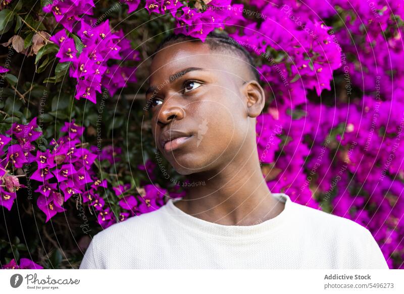 Confident black teenage boy near blooming flowers portrait confident serious park floral nature plant young male appearance style pensive calm blossom