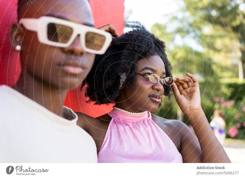 Stylish black teenage couple in eyeglasses bonding afro love curly hair together portrait hairstyle enjoy sunglasses young stand trees trendy carefree