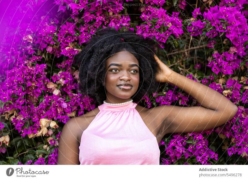 Cheerful black teenage girl near blooming bush with purple flowers afro portrait curly hair garden positive smile fashion floral hairstyle ethnic