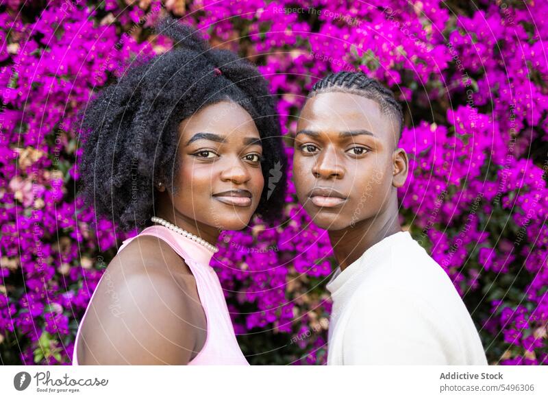Black teenage couple near blooming flowers afro together hairstyle young stand bonding trendy girlfriend boyfriend carefree curly hair black african american