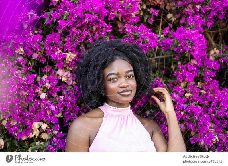 Cheerful black teenage girl near blooming bush with purple flowers afro portrait curly hair garden positive smile fashion floral hairstyle ethnic
