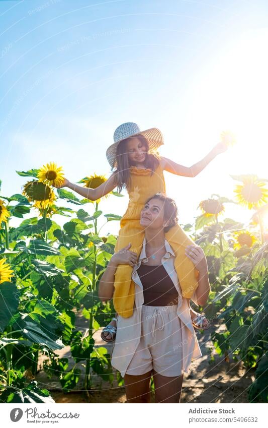 Woman carrying daughter on shoulders in sunflower field mother summer smile woman girl weekend family child clear sky love holiday lifestyle adorable together