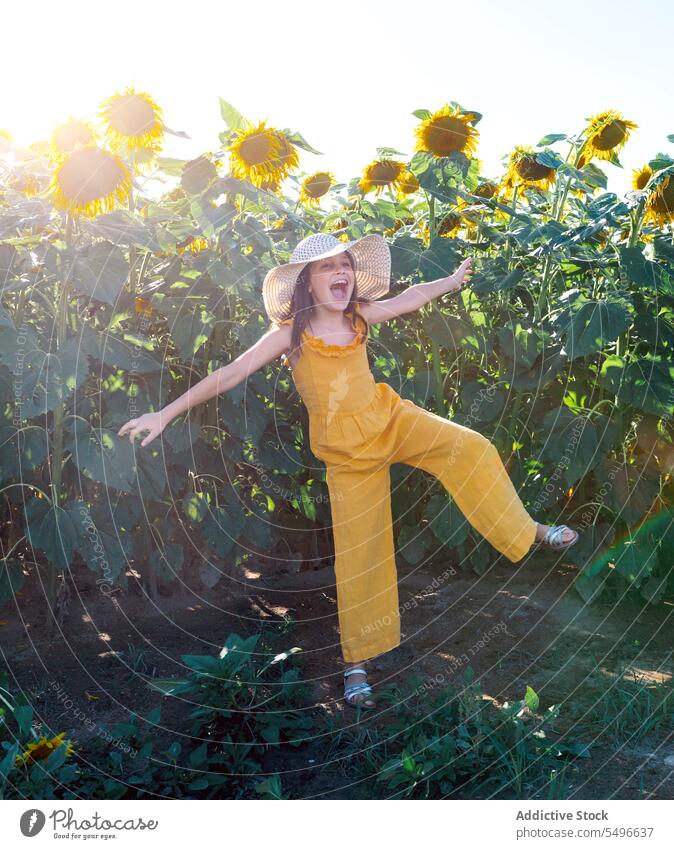 Preteen girl screaming cheerfully in field on sunflowers standing arms outstretched nature summer preteen lifestyle yellow casual attire hat child crop happy