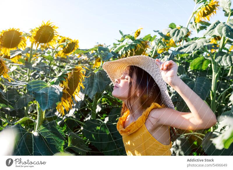 Girl with eyes closed smelling sunflower in farm girl cute weekend summer child hat nature lifestyle sniff fresh casual attire adorable childhood agriculture