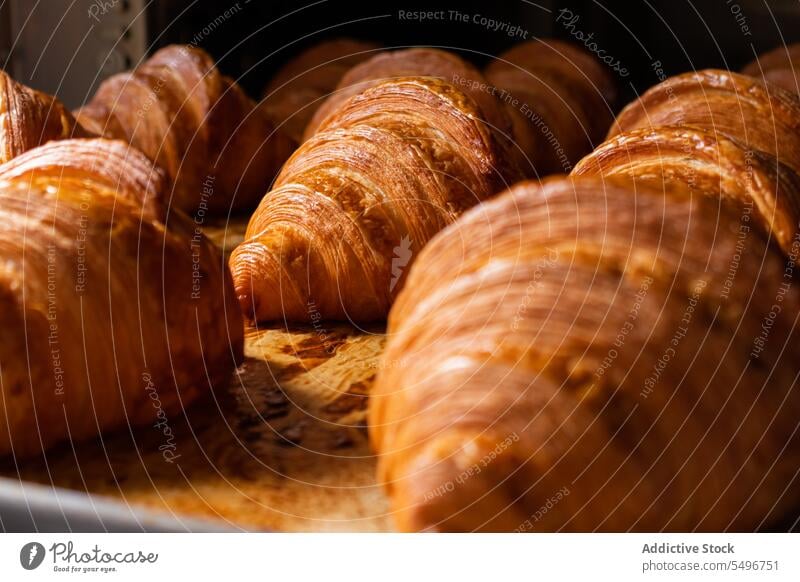 Freshly baked tasty croissants on tray bakery oven fresh pastry delicious dessert crunch kitchen food bun cuisine sweet meal cook yummy gourmet gastronomy
