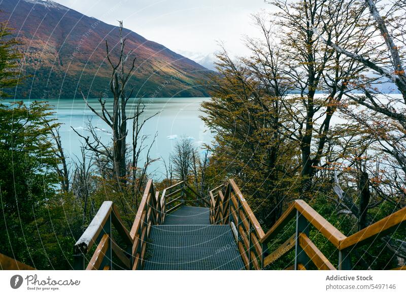 Metallic stairs in forest leading to lake with mountain landscape nature colorful tree scenery picturesque environment path scenic tranquil reflection plant