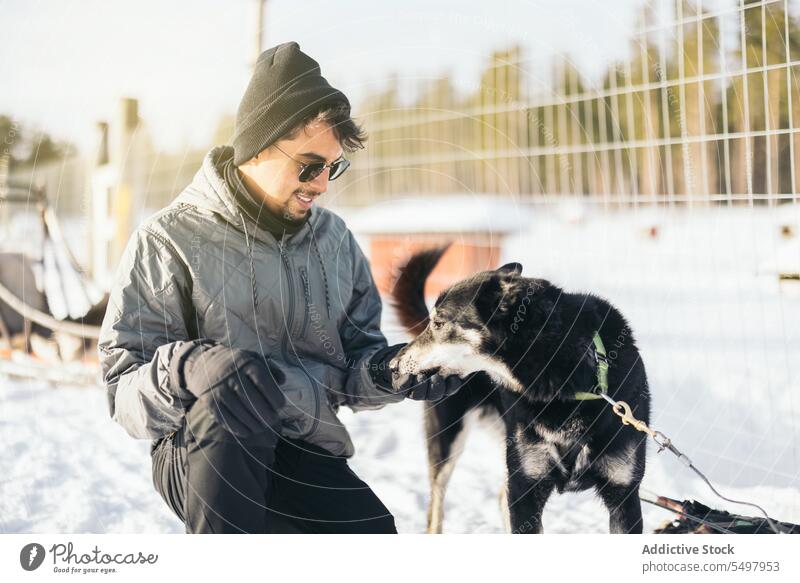 Content man with dog on snowy street traveler husky stroke friendly sunglasses winter woods male tourist lapland pet owner companion caress vacation weekend