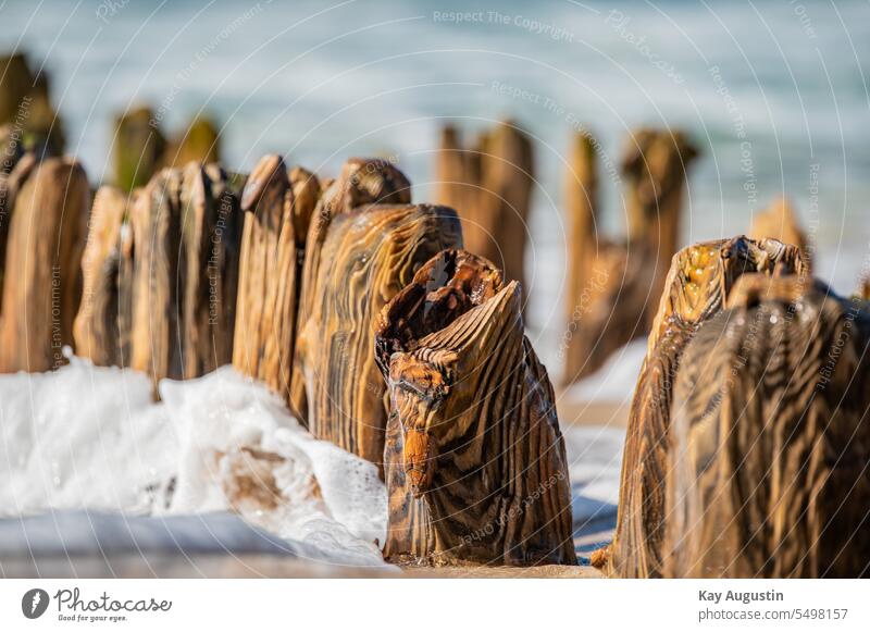 Structures on an old groyne Old groyne Break water structures Wood grain detail coastal protection breakwater swell Surf Waves North Sea Ocean wooden posts