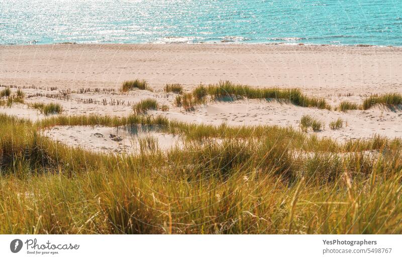 Beach landscape on Sylt island with the marram grass dunes and the seawater autumn background beach beautiful beauty blue bright coast coastline color empty