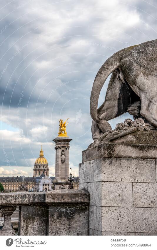 Tail of a Lion Sculpture on Bridge Alexandre III, view to the Military museum, Paris sculpture lion city paris palace tail butt cupola golden decorative french