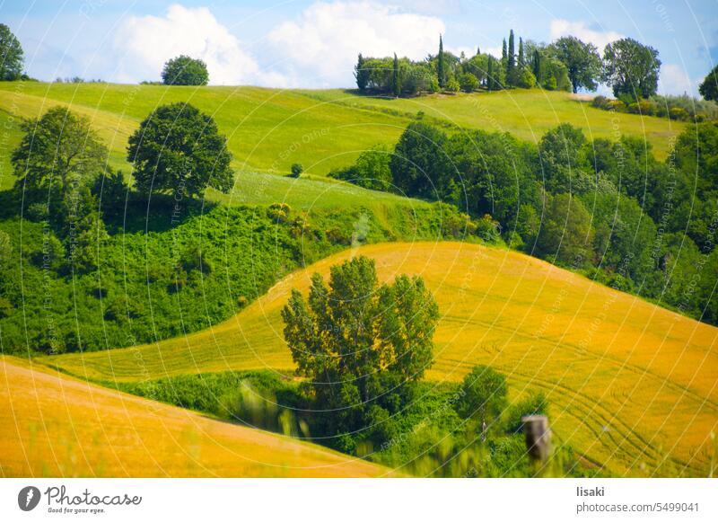 Landscape in Tuscany fields Nature colourful Deserted
