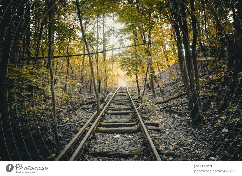 single track to resolution with conductor rail rails Railroad tracks lost places Decline Old Transience Change renaturation Traffic infrastructure