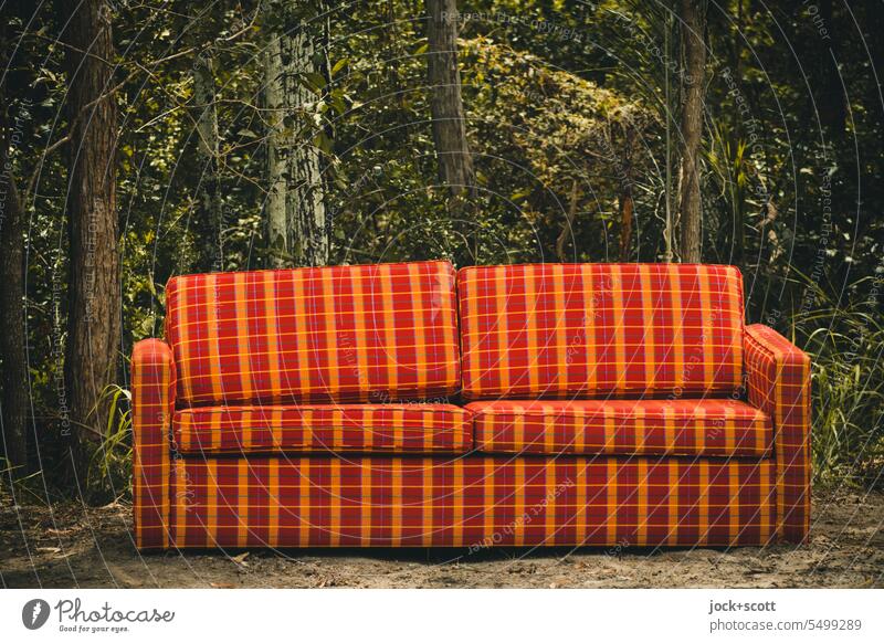 unsaleable - a sofa parked by the wayside Sofa Bulk rubbish Seating Waste management Nature Tropical Environmental pollution Dispose of Deciduous tree
