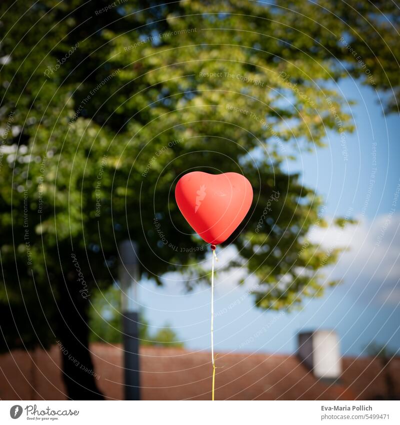 red balloon in shape of heart in front of tree in urban environment Exterior shot Colour photo Go up Love Wedding gas balloon heart balloon Flying Heart Roof