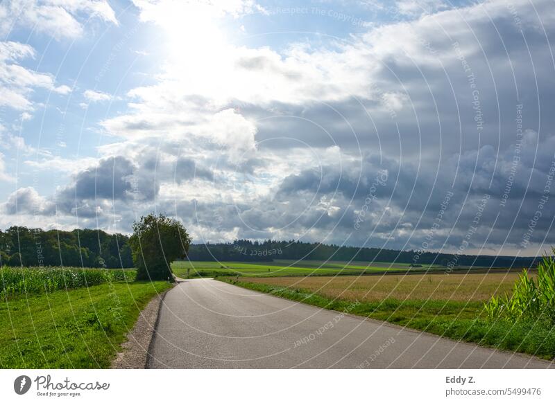 Dreamy Swabian expanses: Rays of sunshine over a green agricultural landscape. A road leads into nature. Agriculture Baden-Wuerttemberg Landscape Nature