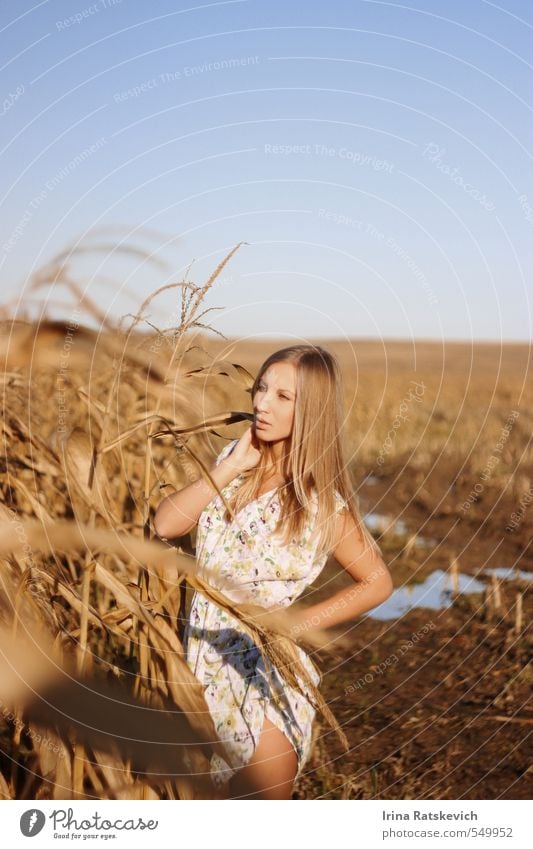 girl on the cornfield Young woman Youth (Young adults) Body Hair and hairstyles Face Arm Hand Legs 1 Human being 18 - 30 years Adults Landscape Sky Horizon