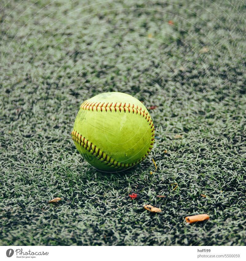 yellow baseball / softball on green grass Softball Baseball Lawn lawn sports Sports Ball Green Grass Playing Leisure and hobbies Meadow Stadium Sporting Complex
