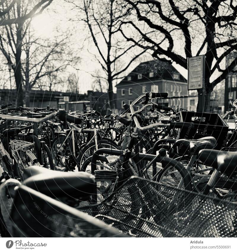 Full bicycle parking b/w Bicycle Parking bicycles Transport Cycling Parking lot Wheel Mobility Means of transport Eco-friendly Town Road traffic Lanes & trails