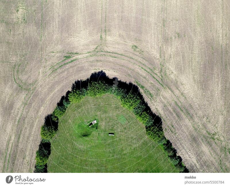Green island in the field acre Arable land Agriculture Field Harvest Landscape Nature Meadow Grass Island Peninsula disassociated Detached Side by side girded