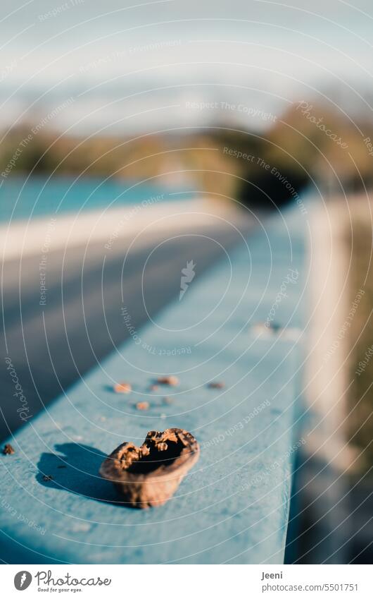 Walnut shell on a bridge walnut shattered Nutcrackers Broken Street Bridge rail Blue Shadow Sun Light