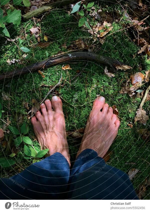 Barefoot in the forest - feet from above standing on natural moss forest floor Forest Moss Carpet of moss Woodground Nature earth close to nature