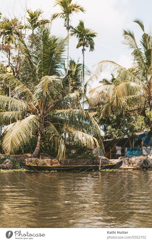 a brown wooden boat in the backwaters of Alappuzha with many palm trees in the background. Palm tree Coconut tree no people Nature Sky Tropical Summer travel