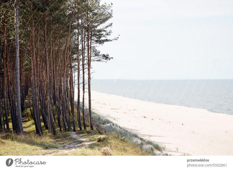 Seashore landscape. Sand beach and forest scene. Calm scene. Summer vacation concept. Leisure time close to nature. Travel concept. Beauty in nature sea seaside