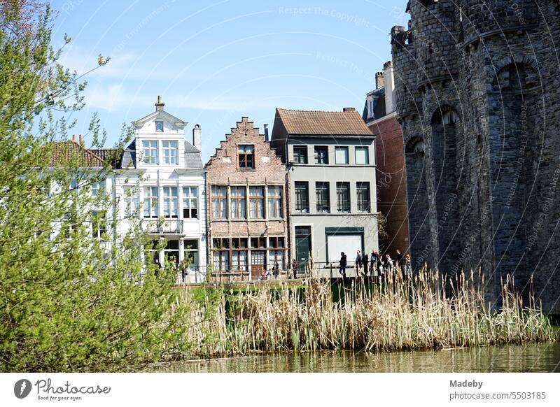 Old narrow houses with beautiful gables in the sunshine at Gravensteen Castle on Lieve and Leie in Ghent in East Flanders in Belgium castle Grafenstein