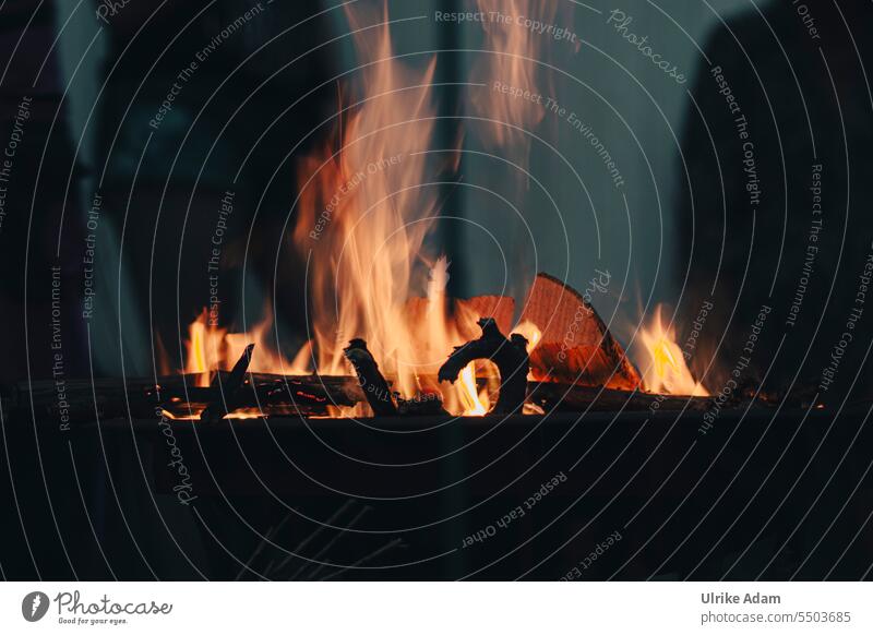 Drinkje bej Inkje | Am Lagerfeuer Fire campfire fire bowl blaze cauterizing Fireplace Hot Flame Glow Embers Incandescent Burn Wood Firewood Night ardor Warmth