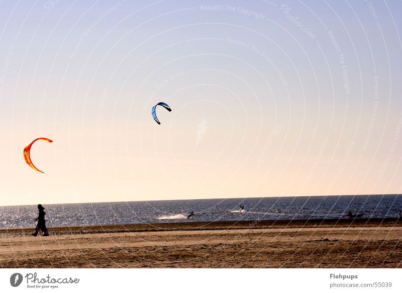 kiters Beach Kiter Kiting St. Peter-Ording Ocean Sand To go for a walk