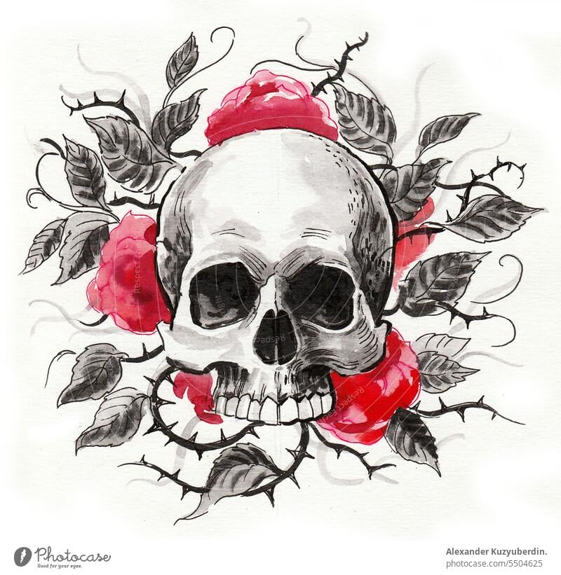 Skull and wild roses ink and watercolor drawing background bones dead death decoration design drawn element floral flower graphic halloween head human