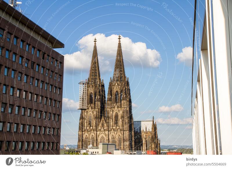Cologne Cathedral Tourist Attraction Landmark Beautiful weather Catholic Religion and faith Dome Church