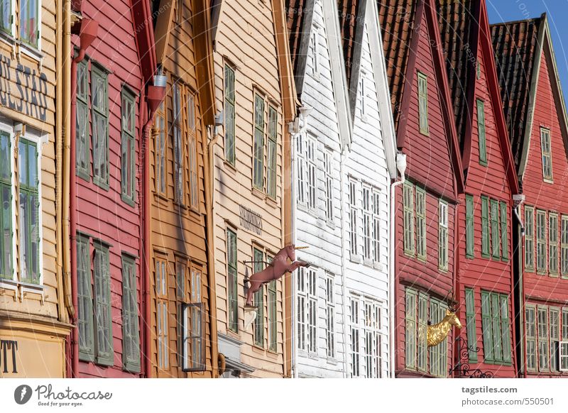 NYHAVN, BERGEN Nyhavn canal Bergen Norway Harbour Facade Storehouse Wooden house Past Hanseatic League Hanseatic City Culture Old town Europe Tradition Town
