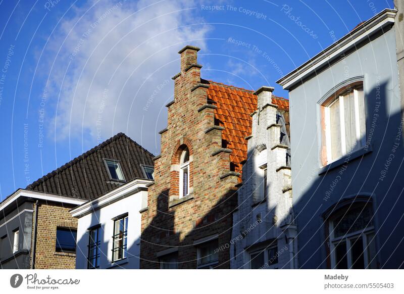 Narrow restored facades of old houses with stepped gables against blue sky in sunshine in the old town of Bruges in West Flanders in Belgium Home country Window