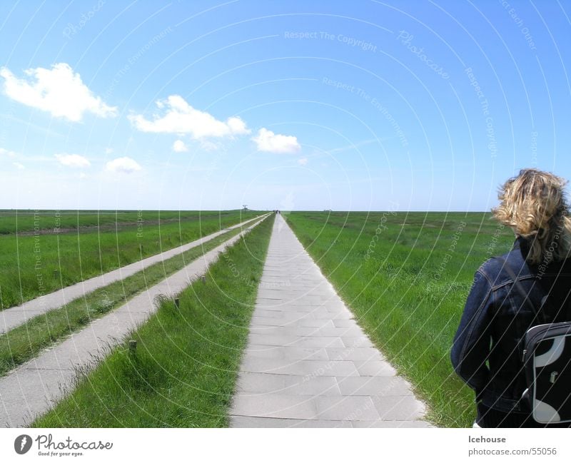 beyond the horizon it goes on... Horizon Infinity away Street Far-off places Sky paved path