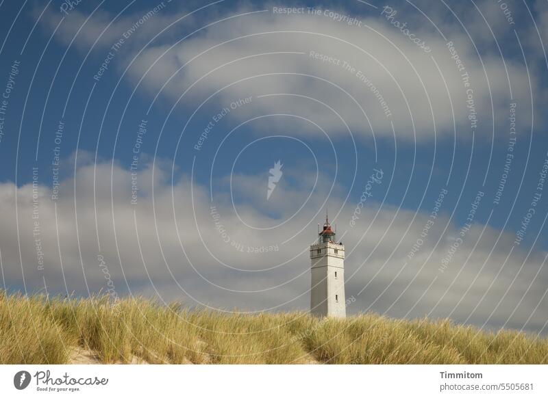 Lighthouse in mild summer light fyr Blavand Blavandshuk Fyr Denmark North Sea duene coast Vacation & Travel Jutland Sky Clouds Mild warm Marram grass