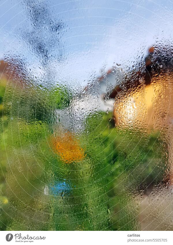 Morning dew | window pane in autumn Window Slice Glass Water Condensate Dew chill Cold Window pane Drops of water Wet Weather Damp raindrops blurriness Light