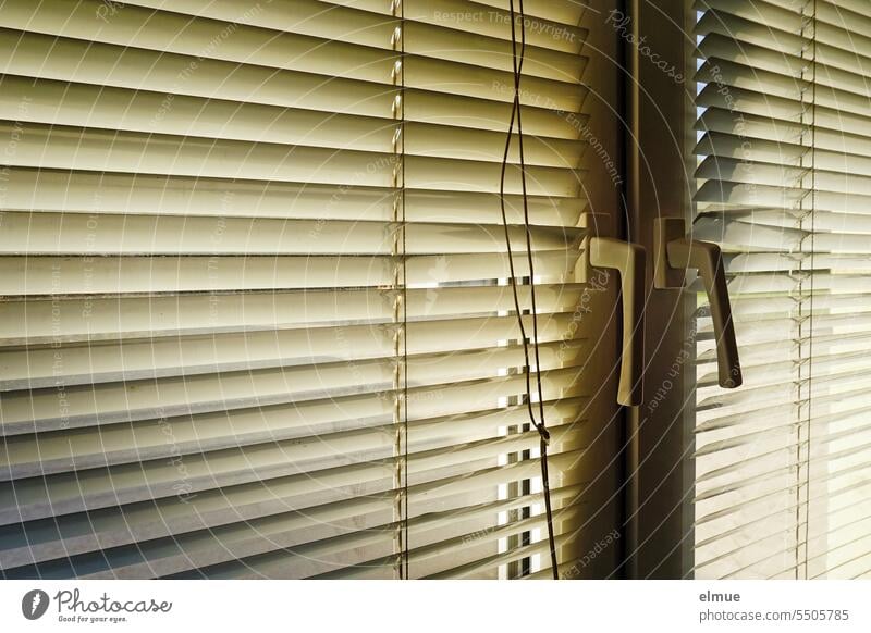 Pleated aluminum blinds in front of a double window Pleated blinds Venetian blinds Window Slat blinds slats Screening sun protection glare protection