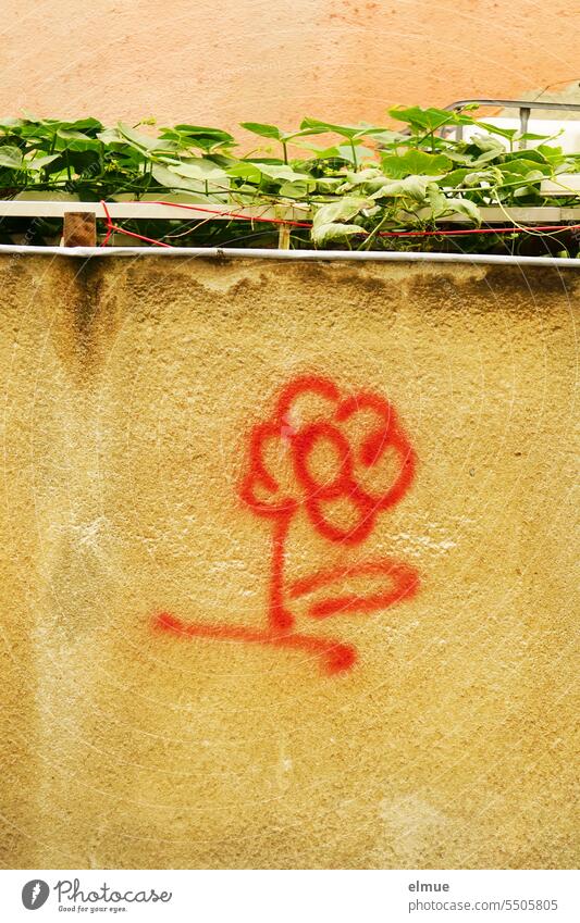 not for sale I artwork - sprayed red flower on a house wall Flower Graffiti Work of art Daub Mural painting Creativity Youth culture Lifestyle Street art Blog