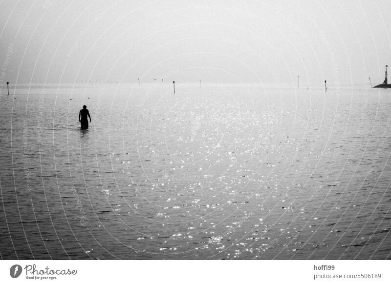 a man walks by the sea through shallow water - the morning is calm , who knows what else happens so Human being Water Stride wade Mud flats accruing water