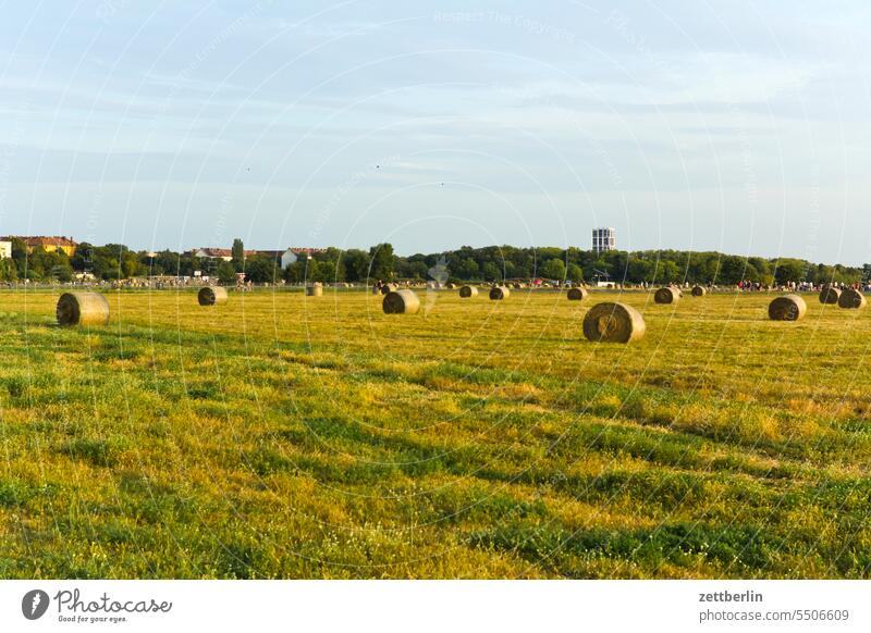Straw bales on the Tempelhof field Berlin Far-off places Trajectory Airport Airfield Freedom Spring Sky Horizon Deserted taxiway Skyline Summer Mirror image