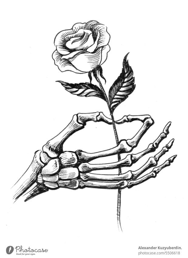 Skeleton hand with a rose art artwork black and white dead death drawing flower illustration skeleton sketch tattoo