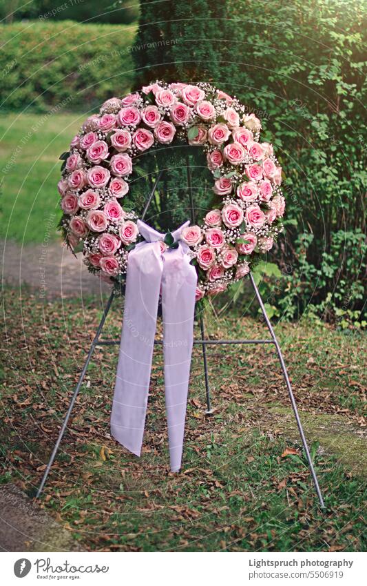Pink funeral rose wreath on the cemetery. rose - flower bouquet grave grief arrangement botany coffin consoling florist green color gypsophila horizontal nature