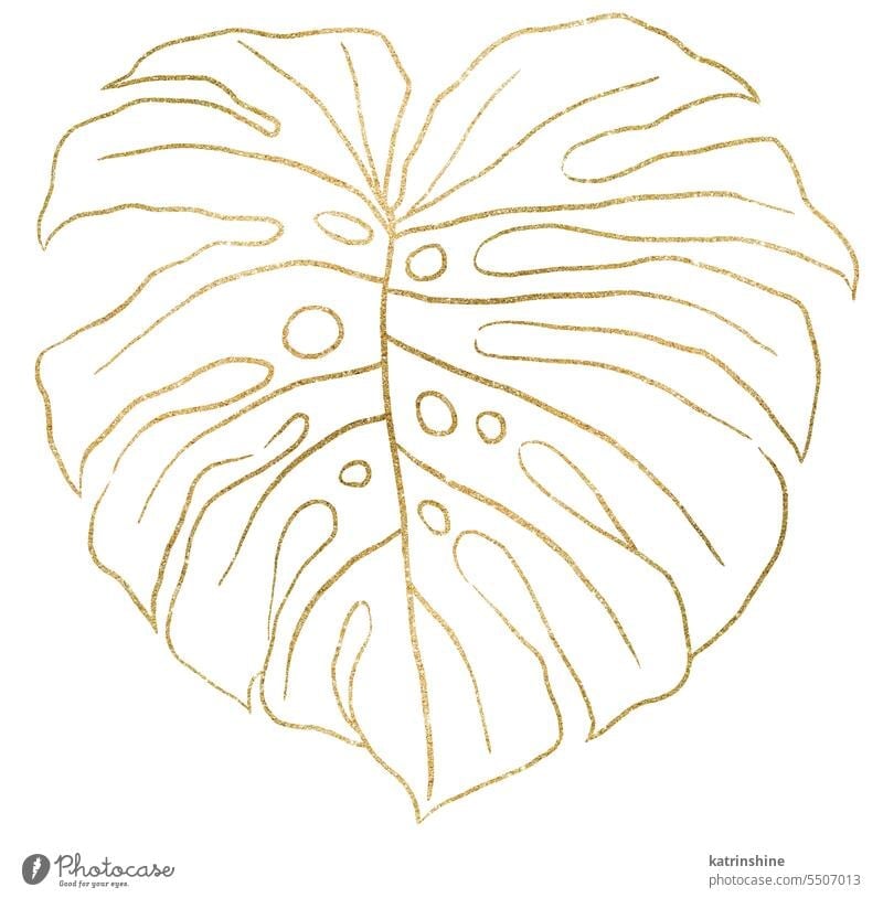 Golden outlines tropical monstera leaf illustration isolated element Botanical Decoration Element Exotic Foliage Hand drawn Isolated Outlines Summer bohemian