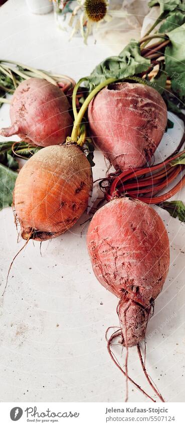 Freshly picked red and orange beet Red beet Vegetable Food Healthy Vegetarian diet Agriculture Harvest Garden Nature Root Farm Vitamin Mature Raw