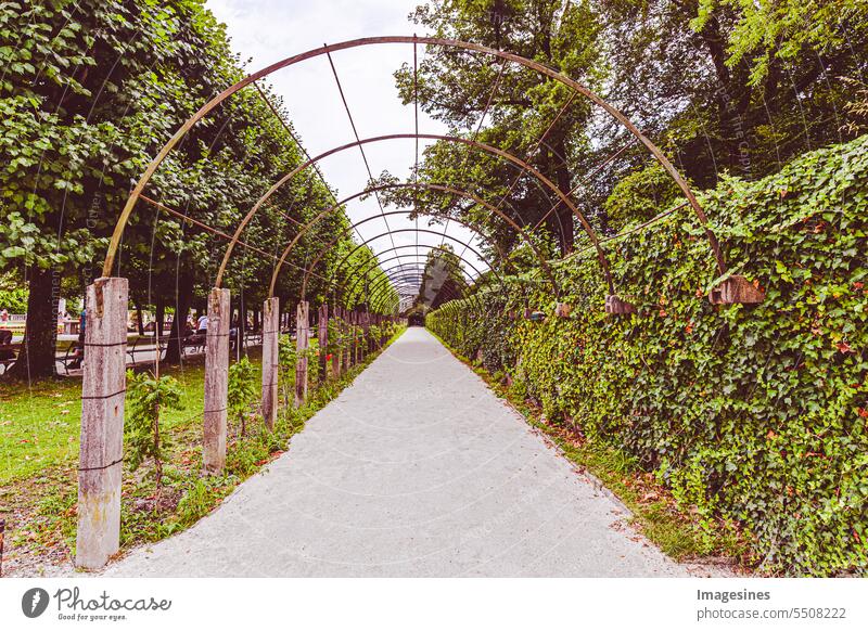 Pergola in the park. Mirabell Garden, Salzburger Land, Austria mirabelle garden Mirabelle plum orchard off metal Day To go for a walk naturally Plant Landscape